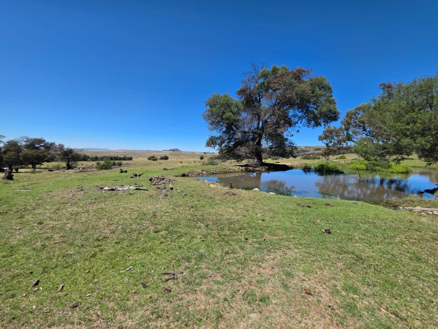 8 Bedroom Property for Sale in Bethlehem Rural Free State